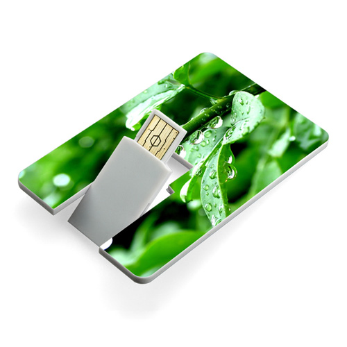 1GB Credit Card USB Flash Drive